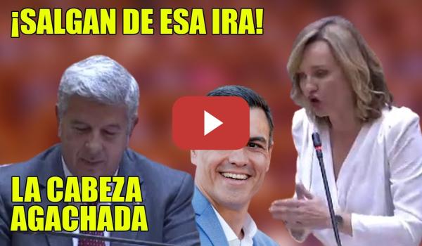 Embedded thumbnail for DEMOLEDORA P. Alegría dejando RABIANDO al PP🤗 ZASCA INTERNACIONAL🤗¡CIÉNAGA de corrupción, ÓPERA BUFA