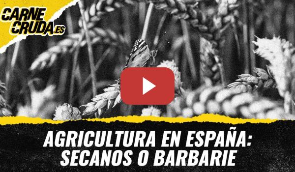 Embedded thumbnail for T11x129 - Agricultura en España: secanos o barbarie (CARNE CRUDA)