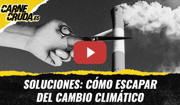 Embedded thumbnail for T11x147 - Soluciones: cómo escapar del cambio climático (CARNE CRUDA)