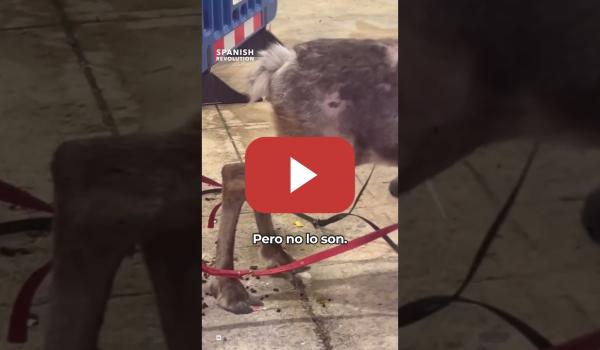 Embedded thumbnail for No normalicemos esto