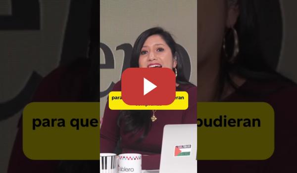 Embedded thumbnail for Laura Arroyo sobre el FUEGO de Patagonia y la MOTOSIERRA de MILEI