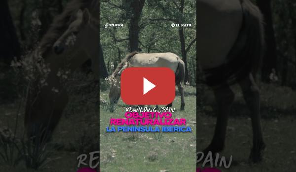 Embedded thumbnail for Objetivo renaturalizar las tierras altas de la Península Ibérica