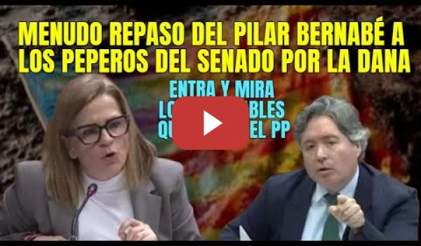 Embedded thumbnail for Pilar Bernabé destroza la Comisión Fake del Senado sobre la Dana que está manipulada por el PP