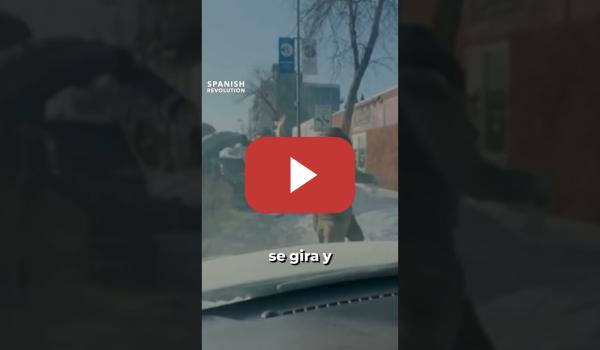 Embedded thumbnail for La gran mentira