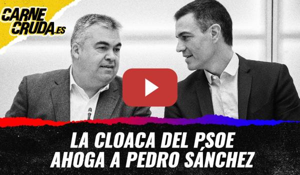 Embedded thumbnail for T11X143  La corrupción del PSOE ahoga a Sánchez