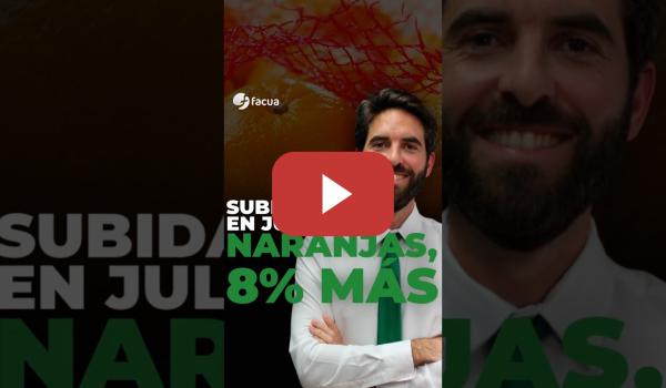 Embedded thumbnail for SUBIDAS EN JULIIO: NARANJAS, 8% MÁS