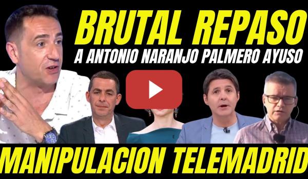 Embedded thumbnail for EMILIO DELGADO REVIENTA A ANTONIO NARANJO POR PALMERO DE AYUSO EN TELEMADRID