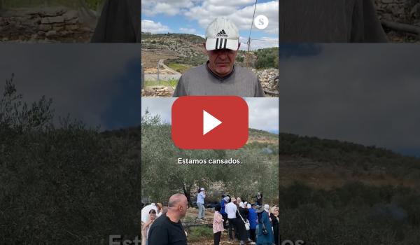 Embedded thumbnail for 🇵🇸Agricultor palestino hostigado por colonos israelíes: “Yo no abandono mi tierra”.