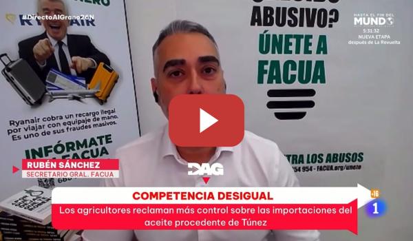 Embedded thumbnail for FAUDES EN EL ACEITE DE OLIVA ¿Dónde acaba el aceite de Túnez?