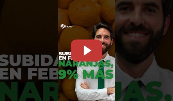 Embedded thumbnail for SUBIDAS EN FEBRERO: NARANJAS, UN 9% MÁS