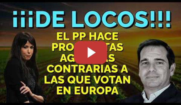 Embedded thumbnail for Martina Velarde de PODEMOS machaca al PP sus propuestas agrarias distintas a las que votan en Europa