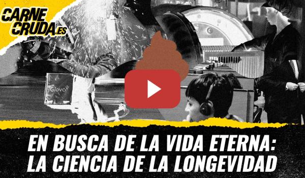 Embedded thumbnail for T12X122 - Trabajos de mierda: cultura de la precariedad (CARNE CRUDA)