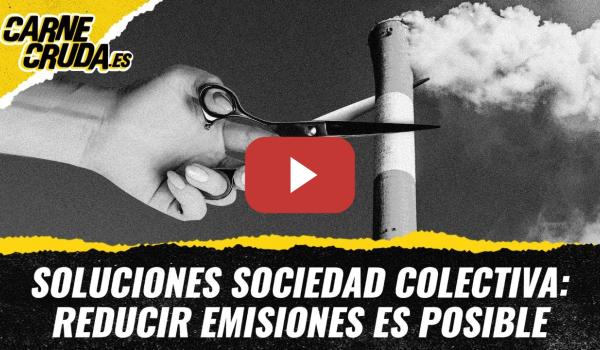 Embedded thumbnail for T11x147 - Soluciones: cómo frenar la crisis climática (CARNE CRUDA)