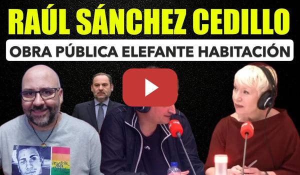 Embedded thumbnail for Raúl Sánchez Cedillo, la Obra Pública es el elefante en la habitación del bipartidismo.
