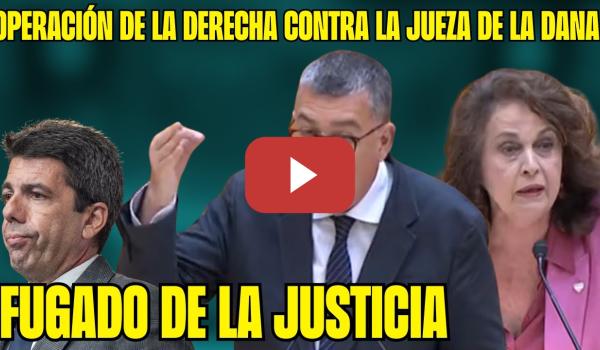 Embedded thumbnail for MAZÓN es un FUGADO de la JUSTICIA ¡El PP PRESIONA a la JUEZA de la DANA! Enric Morera lo FULMINA!