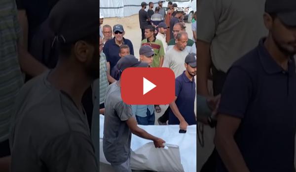 Embedded thumbnail for Palestinos lloran a sus familiares asesinados mientras buscan ayuda humanitaria