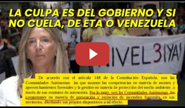 Embedded thumbnail for El PP en el Senado convoca a 3 Ministros para culparles de los incendios