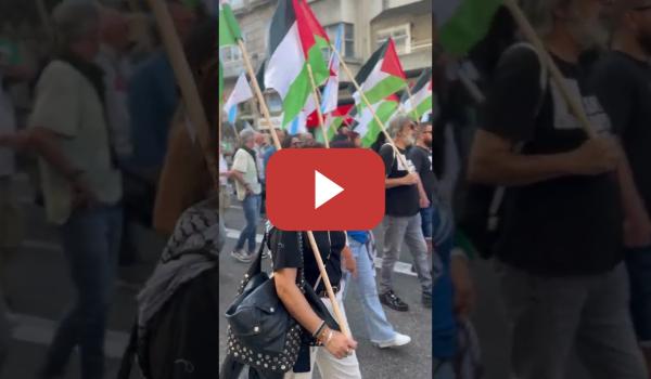 Embedded thumbnail for Folga por Palestina en Galiza