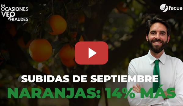 Embedded thumbnail for SUBIDAS DE SEPTIEMBRE. NARANJAS: 14% MÁS