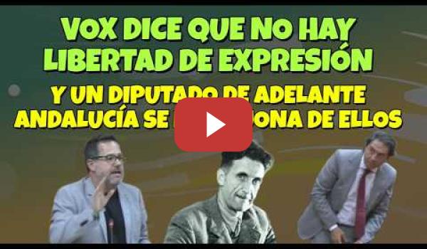 Embedded thumbnail for VOX dice "No hay Libertad de Expresión" y un Diputado de Adelante Andalucía se mofa de los fascistas