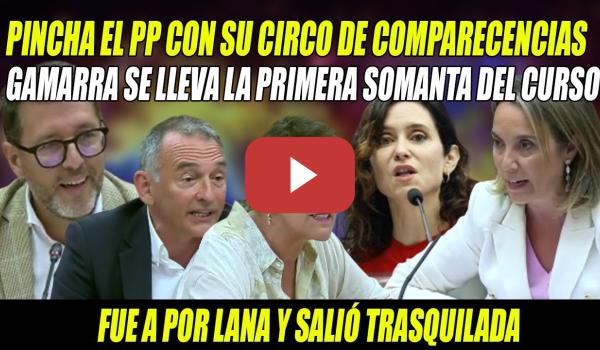 Embedded thumbnail for DESTROZAN CIRCO de GAMARRA Enrique Santiago, Aizpurua y Arán-Ayuso HUNDE NUMERITO PP en el Congreso