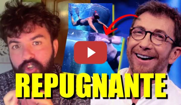 Embedded thumbnail for Pillan a Pablo Motos bañándose con ballenas y un experto en animales lo pone en su sitio