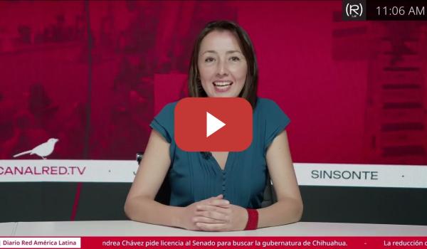 Embedded thumbnail for Samanta Schweblin: Capitalismo y medio ambiente en Argentina | El Ojo Pirata - Ana Emilia Felker