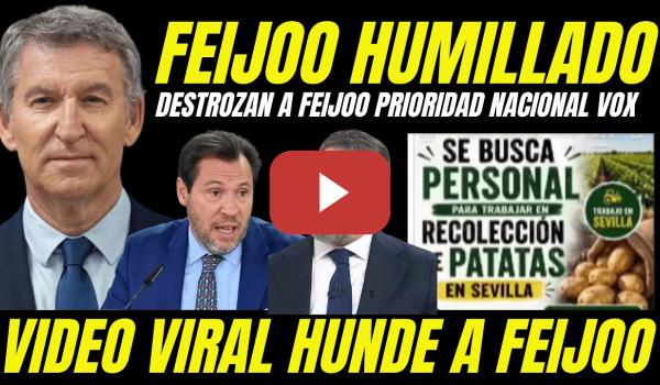Embedded thumbnail for VIDEO VIRAL FEIJOO HUMILLADO TRAS SU PACTO CON VOX PRIORIDAD NACIONAL POR UN INMIGRANTE