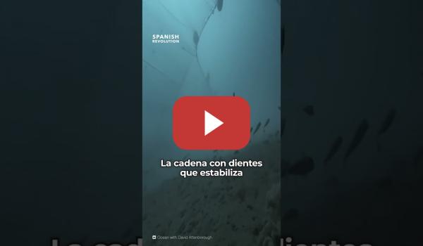 Embedded thumbnail for El horror de la pesca de arrastre