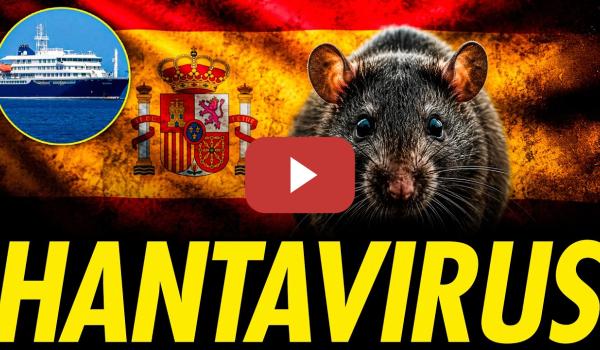 Embedded thumbnail for HANTAVIRUS LLEGA A ESPAÑA ¿ES UN PELIGRO PARA LA POBLACIÓN?