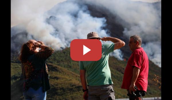 Embedded thumbnail for El fuego amenaza el Teixadal de Casaio (Ourense), el bosque más antiguo de Galicia