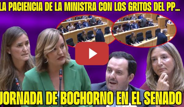 Embedded thumbnail for CIRCO del PP en el SENADO ¡BOCHORNO! Senador INTIMIDA a la MINISTRA ¡CHAPOTEAN en el LODAZAL!