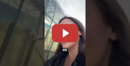 Embedded thumbnail for Irene Montero opina sobre la COBARDÍA DE ED SHEERAN