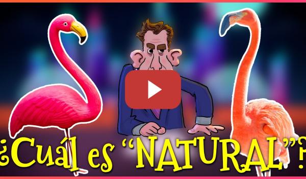 Embedded thumbnail for ¿Qué es la SOCIEDAD del ESPECTÁCULO? El IMPERIO de lo HIPERREAL