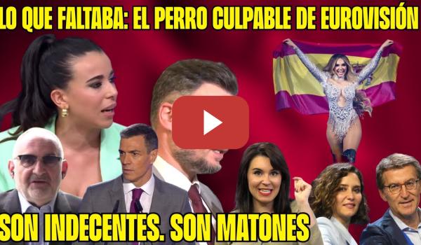 Embedded thumbnail for RIDÍCULO de la FACHOSFERA. CULPAN a SÁNCHEZ del RESULTADO de MELODY en EUROVISIÓN ¡INDECENTE!