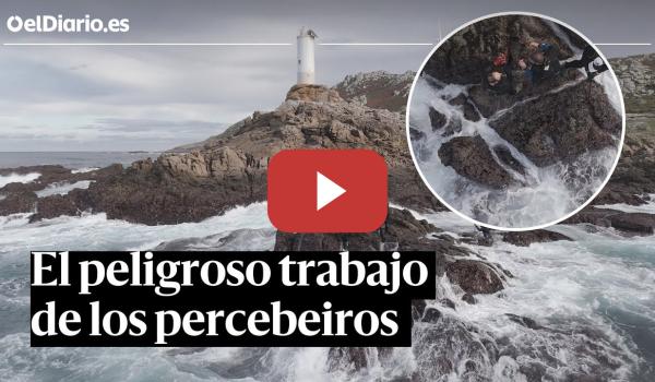 Embedded thumbnail for Así es el peligroso trabajo de los PERCEBEIROS para conseguir el marisco más deseado de la NAVIDAD