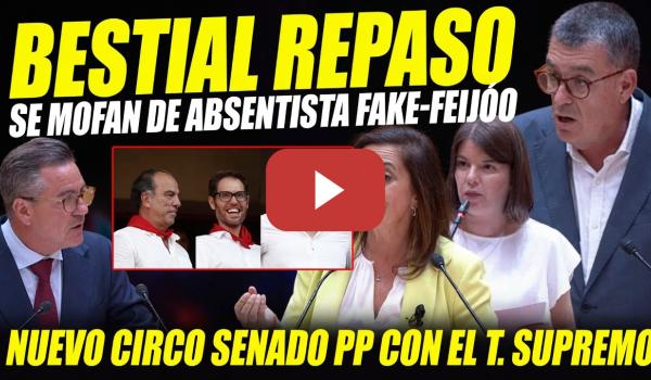 Embedded thumbnail for BESTIAL REPASO AL P PY MOFAS A FAKE-FEIJÓO ABSENTISTA LABORAL. SE HARTAN DEL USO ESPURIO DEL SENADO