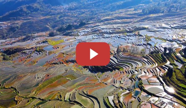 Embedded thumbnail for Avanzar hacia el desarrollo sostenible: La sabiduría ecológica de las terrazas milenarias | CGTN