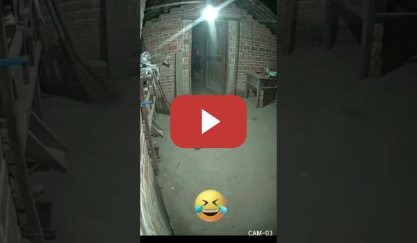 Embedded thumbnail for Cuando tu perro es del PP.